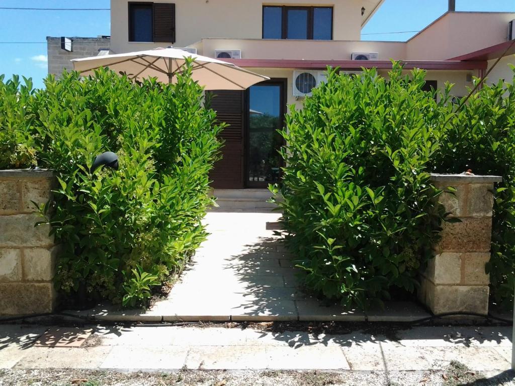 B&B Terra Serena Santa Cesarea Terme Zewnętrze zdjęcie